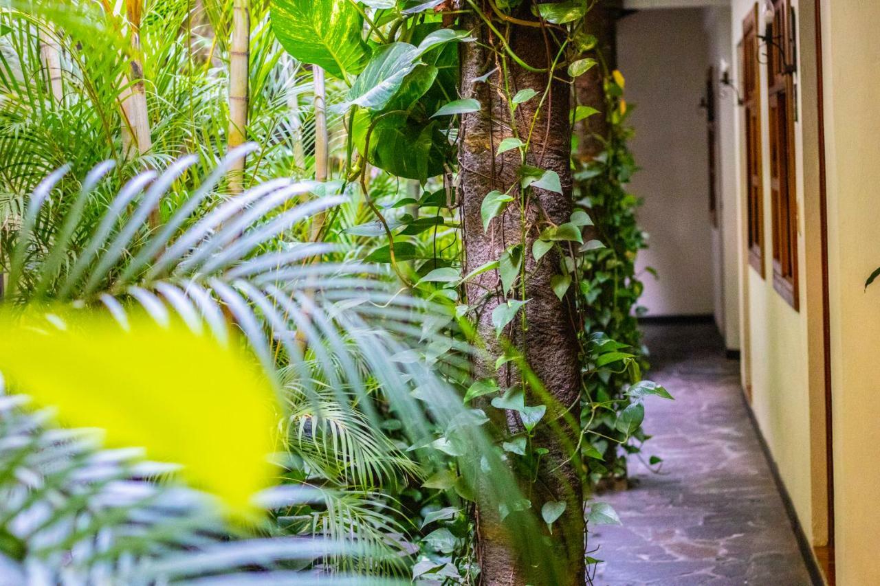 Hotel Arbol De Fuego San Salvador Exterior foto